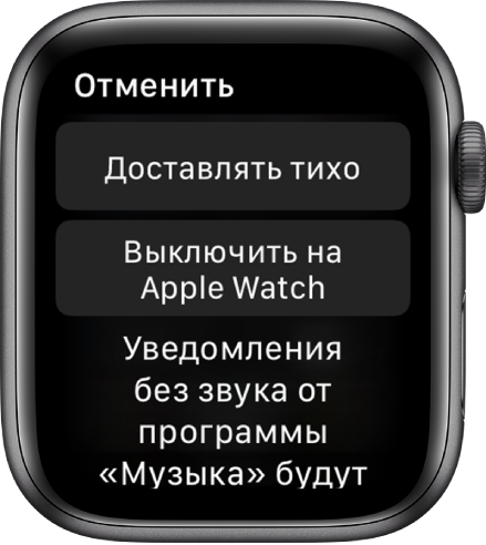 Настройки уведомлений на Apple Watch. На верхней кнопке написано «Доставлять тихо», на нижней — «Отключить на Apple Watch».