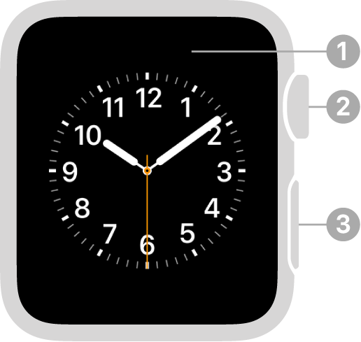 Framsidan på Apple Watch Series 3 och tidigare med streck som pekar mot skärmen, Digital Crown och sidoknappen.