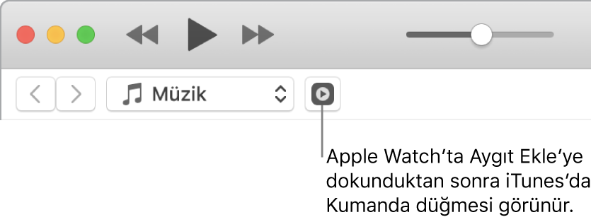 iTunes’da Remote düğmesi, Apple Watch’a arşiv eklemeye çalışırken görüntülenir.