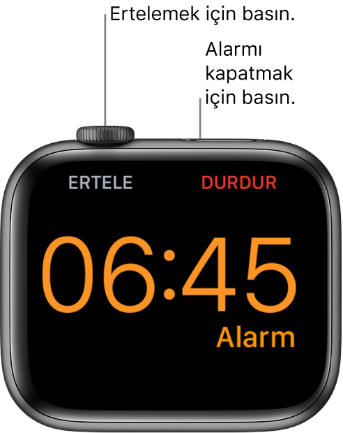 Çalan bir alarmı gösteren ekranıyla yan yerleştirilmiş bir Apple Watch. Digital Crown’un altında “Ertele” sözcüğü var. “Durdur” sözcüğü, yan düğmenin altında.