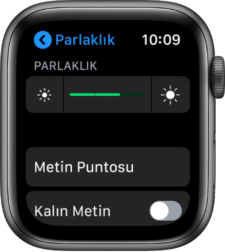 En üstte Parlaklık sürgüsünü, altında Metin Puntosu düğmesini ve en altta Kalın Metin denetimini gösteren Apple Watch parlaklık ayarları.
