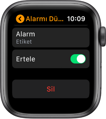 Altta Sil düğmesiyle birlikte Alarm düzenleme ekranı.