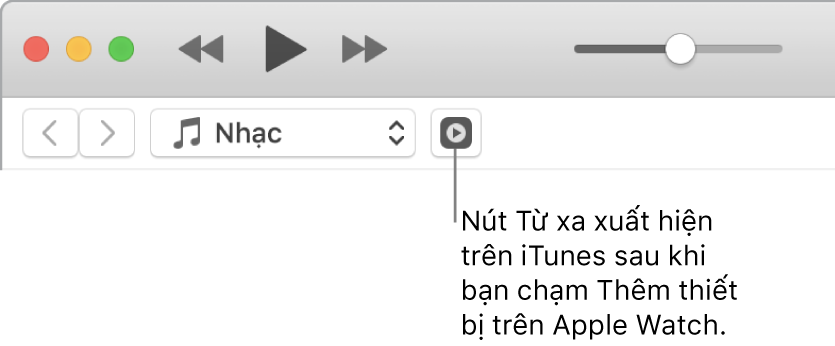 Nút Điều khiển từ xa trong iTunes xuất hiện trong khi bạn đang cố thêm thư viện vào Apple Watch.