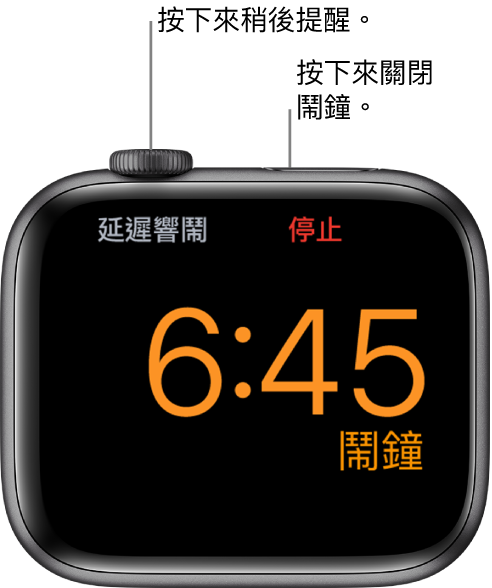 Apple Watch 已打側擺放，畫面顯示鬧鐘正在響鬧。「數碼錶冠」下方的文字是「延遲響鬧」。「停止」字樣位於側邊按鈕下方。