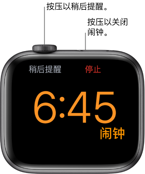 侧放着的 Apple Watch，屏幕显示已响的闹钟。数码表冠下方是“稍后提醒”。“停止”位于侧边按钮下方。