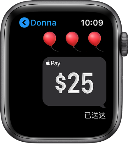 “信息”屏幕，显示已完成的 Apple Cash 支付。