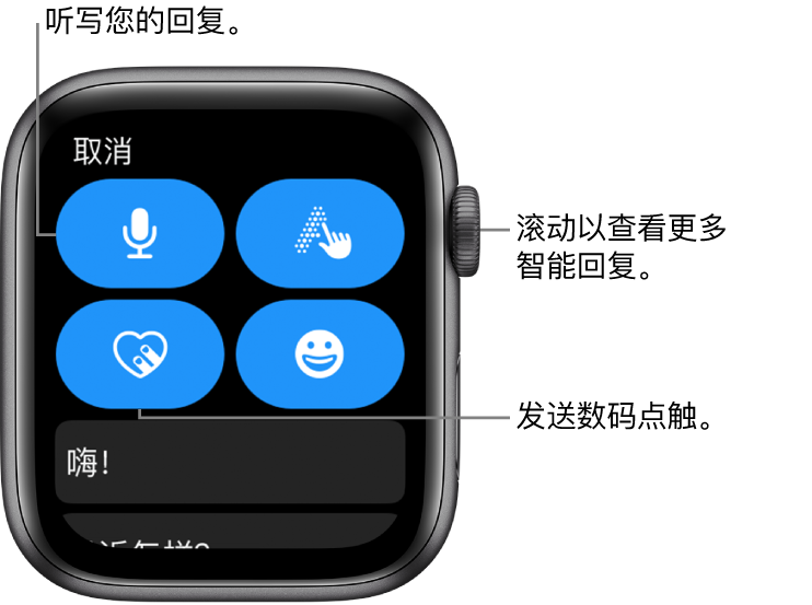 回复屏幕显示“听写”、“涂文字”、“数码点触”和“表情符号”按钮。智能回复在下方。旋转数码表冠来查看更多智能回复。
