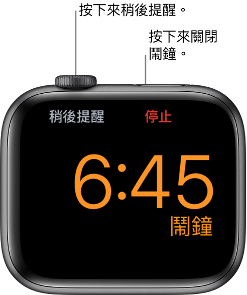 側放的 Apple Watch，畫面顯示已停止的鬧鐘。數位錶冠下方是「稍後提醒」字樣。「停止」字樣位於側邊按鈕下方。
