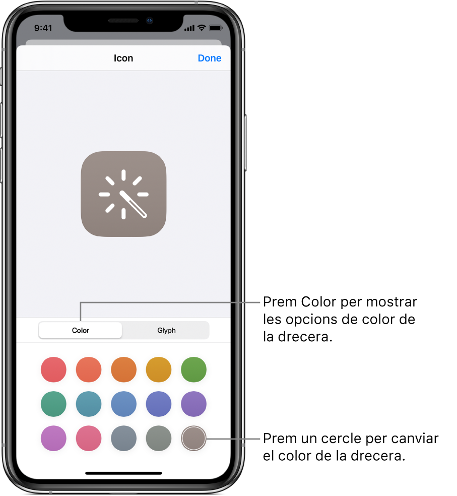 La pantalla Icona amb les opcions de color per a les dreceres.