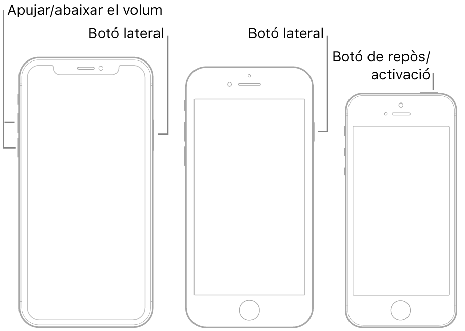 Il·lustracions de tres tipus de models d’iPhone, tots amb la pantalla de cara cap amunt. La il·lustració de l’esquera mostra els botons d’apujar i abaixar el volum a l’esquerra del dispositiu. El botó lateral es troba a la dreta. La il·lustració del mig mostra el botó lateral a la dreta del dispositiu. La il·lustració de la dreta mostra el botó de repòs/activació a la part superior del dispositiu.