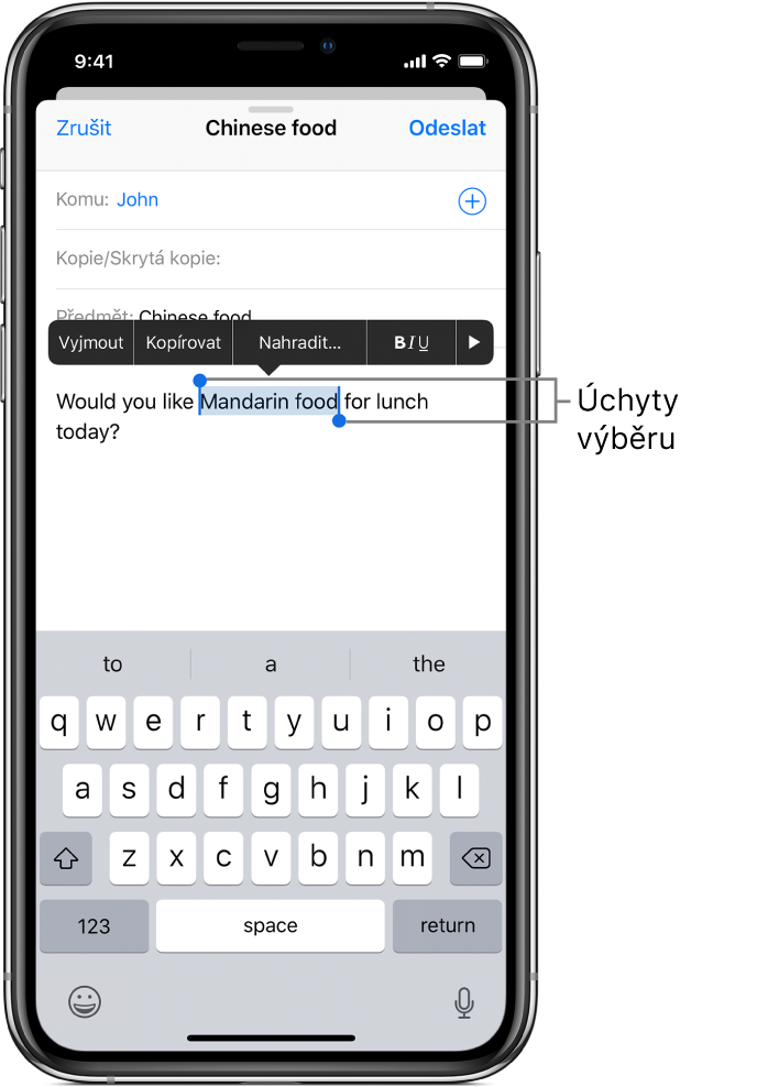 Ukázka e‑mailové zprávy, v níž je vybrána část textu. Nad vybraným textem vidíte tlačítka Vyjmout, Kopírovat, Vložit, tlačítka tučného písma, kurzívy a podtržení a tlačítko Zobrazit další. Vybraný text je zvýrazněn a na obou koncích má úchytové body