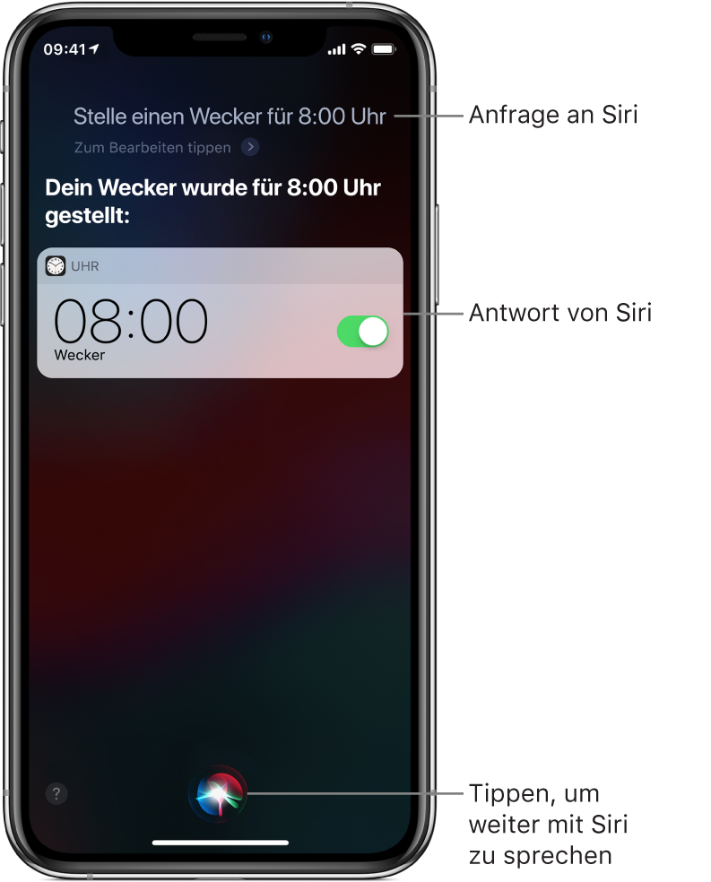 Der Siri-Bildschirm mit dem Befehl an Siri „Stelle einen Wecker für 8:00 Uhr“ und der Antwort von Siri, dass der Auftrag erledigt ist. Eine Mitteilung der App „Uhr“ zur Bestätigung, dass der Wecker auf 8:00 Uhr eingestellt wurde. Die Taste ganz unten in der Mitte dient dazu, die Konversation mit Siri fortzusetzen.