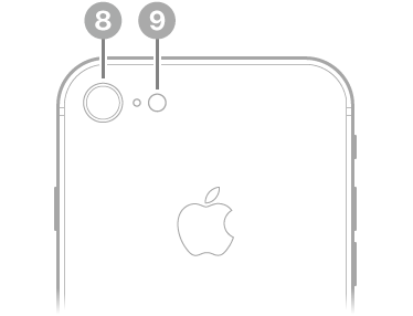 The back view of iPhone 8.