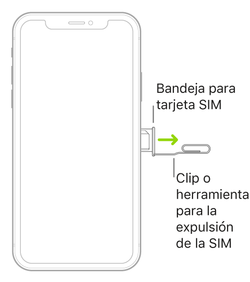 Se inserta un clip de papel o la herramienta para retirar la tarjeta SIM en el pequeño orificio de la bandeja situada en el lateral derecho del iPhone para extraer la bandeja y retirarla.