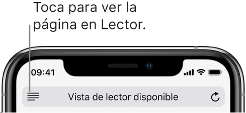 El campo de dirección de Safari, con el botón Lector en la parte derecha.