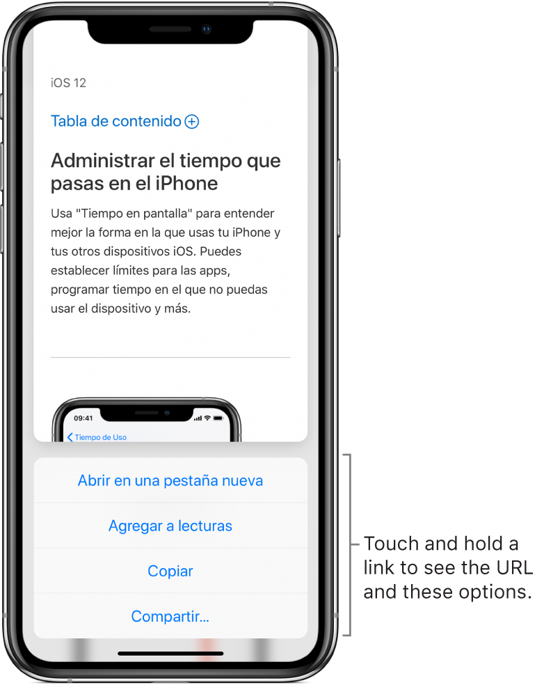 Una pantalla superpuesta mostrando una vista previa del destino de la dirección URL seguida de una lista de posibles acciones: "Abrir en una nueva pestaña", "Agregar a lecturas", "Copiar" o "Compartir".