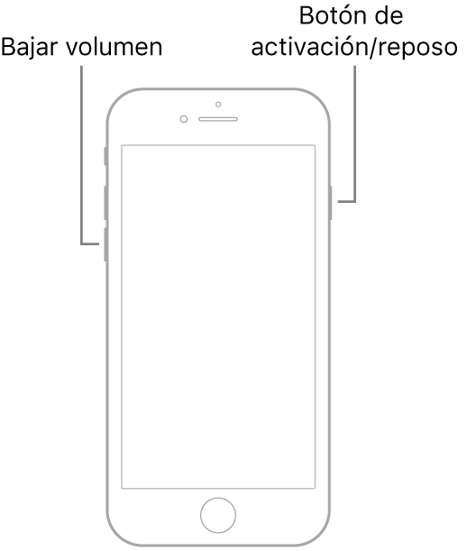 Ilustración de un iPhone 7 con la pantalla hacia arriba. Los botones de subir y bajar volumen se encuentran en el lado izquierdo del dispositivo y, en el derecho, está el botón de activación/reposo.