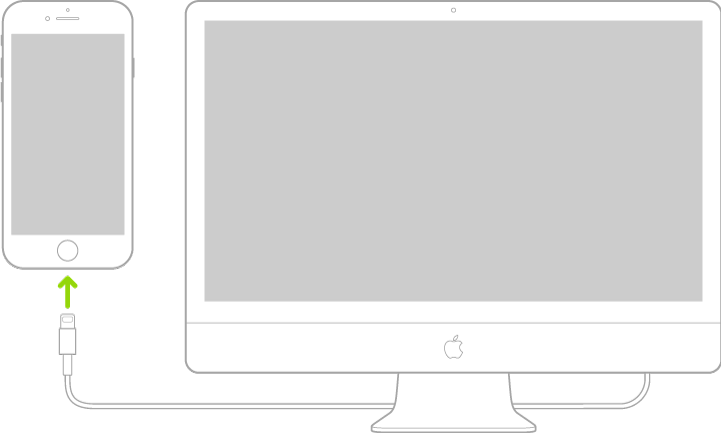iPhone connecté à un ordinateur Mac à l’aide du câble Lightning vers USB.