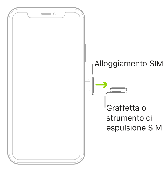 Una graffetta o uno strumento per l'espulsione della SIM viene inserito nel piccolo foro dell'alloggiamento sul lato destro di iPhone per espellere e rimuovere l'alloggiamento.