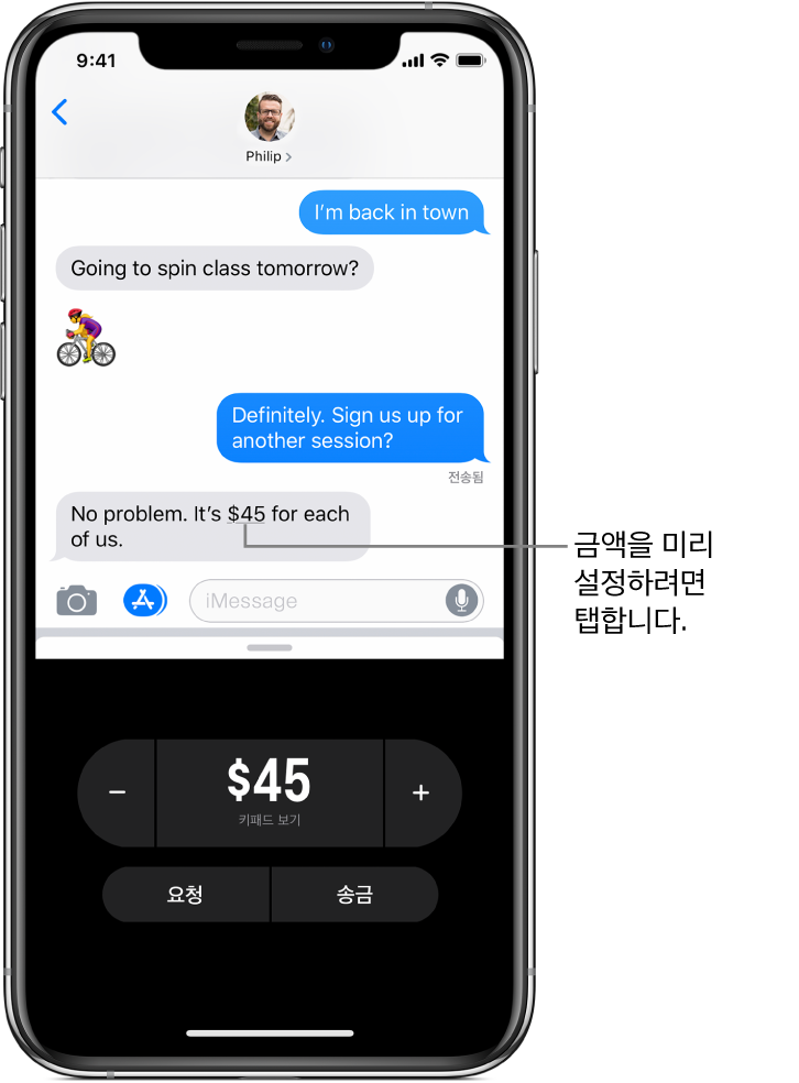 하단에 Apple Pay 앱이 열려 있는 iMessage 대화.