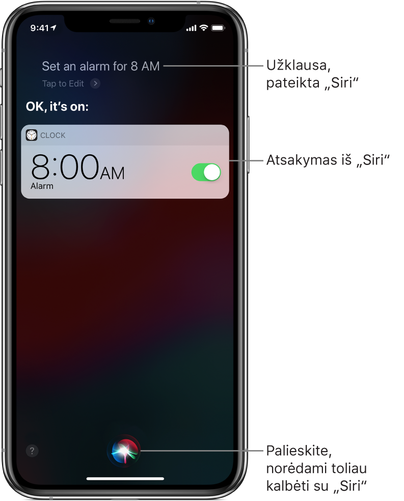 „Siri“ ekrane rodoma, kad „Siri“ buvo paprašyta „Set an alarm for 8 a.m.“ (nustatyk žadintuvą 8 valandai ryto), „Siri“ atsakė „OK, it’s on“ (gerai, nustatyta). Programos „Clock“ pranešimas rodo, kad žadintuvas nustatytas skambėti 8 val. Mygtukas ekrano centre apačioje naudojamas pokalbiui su „Siri“ tęsti.