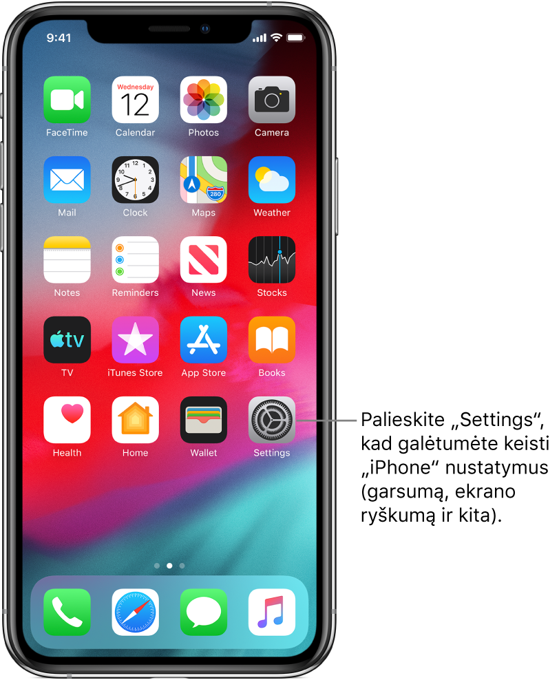 Pradžios ekranas su keliomis piktogramomis, įskaitant piktogramą „Settings“, kurią palietę galite keisti „iPhone“ garsumą, ekrano ryškumą ir dar daugiau.