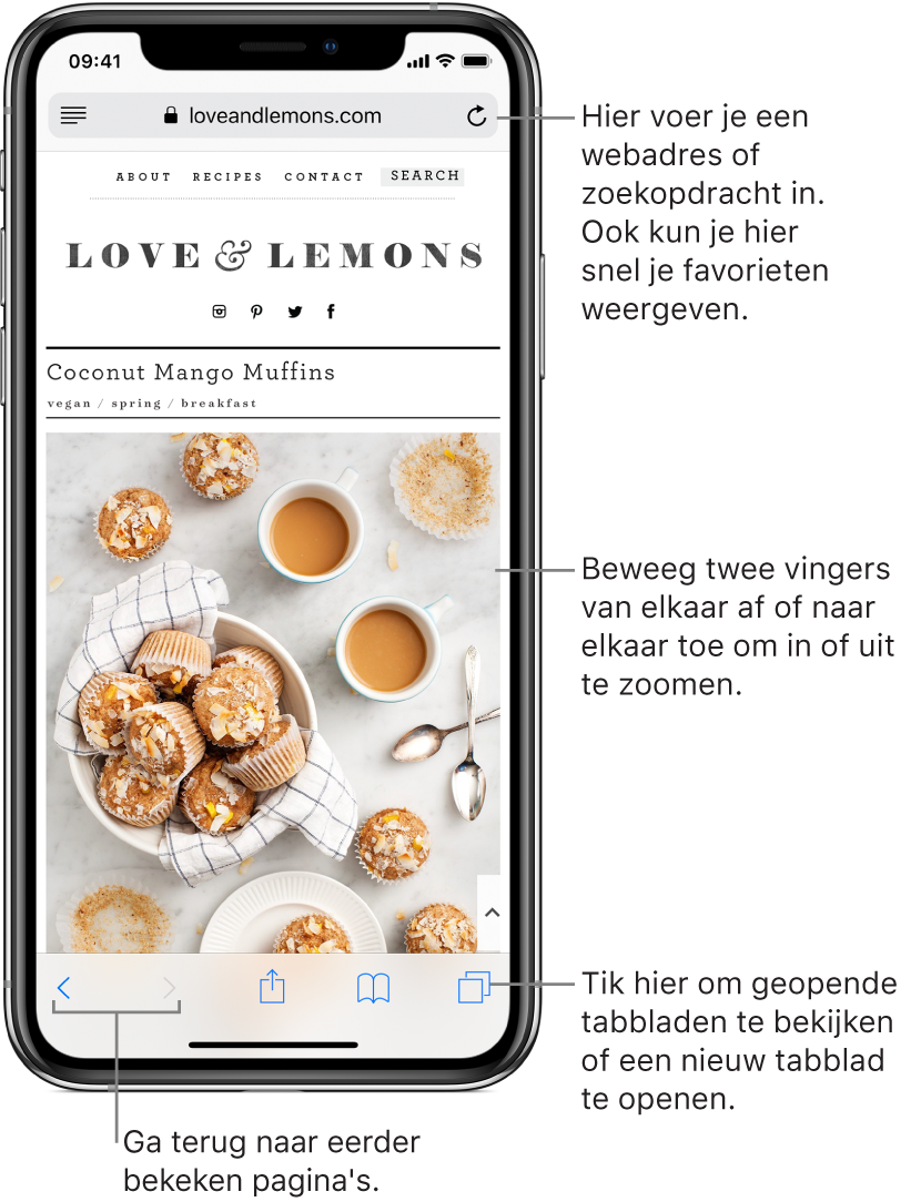 Een geopende website in Safari, met bovenin het adresveld. Onderin bevinden zich van links naar rechts de knoppen voor de vorige pagina, de volgende pagina, de deelknop, bladwijzerknop en paginaknop.