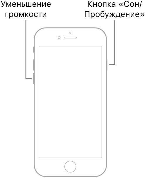 Иллюстрация iPhone 7, расположенного экраном вперед. Кнопка уменьшения громкости расположена на левом боку устройства, а кнопка «Сон/Пробуждение» — на правом.