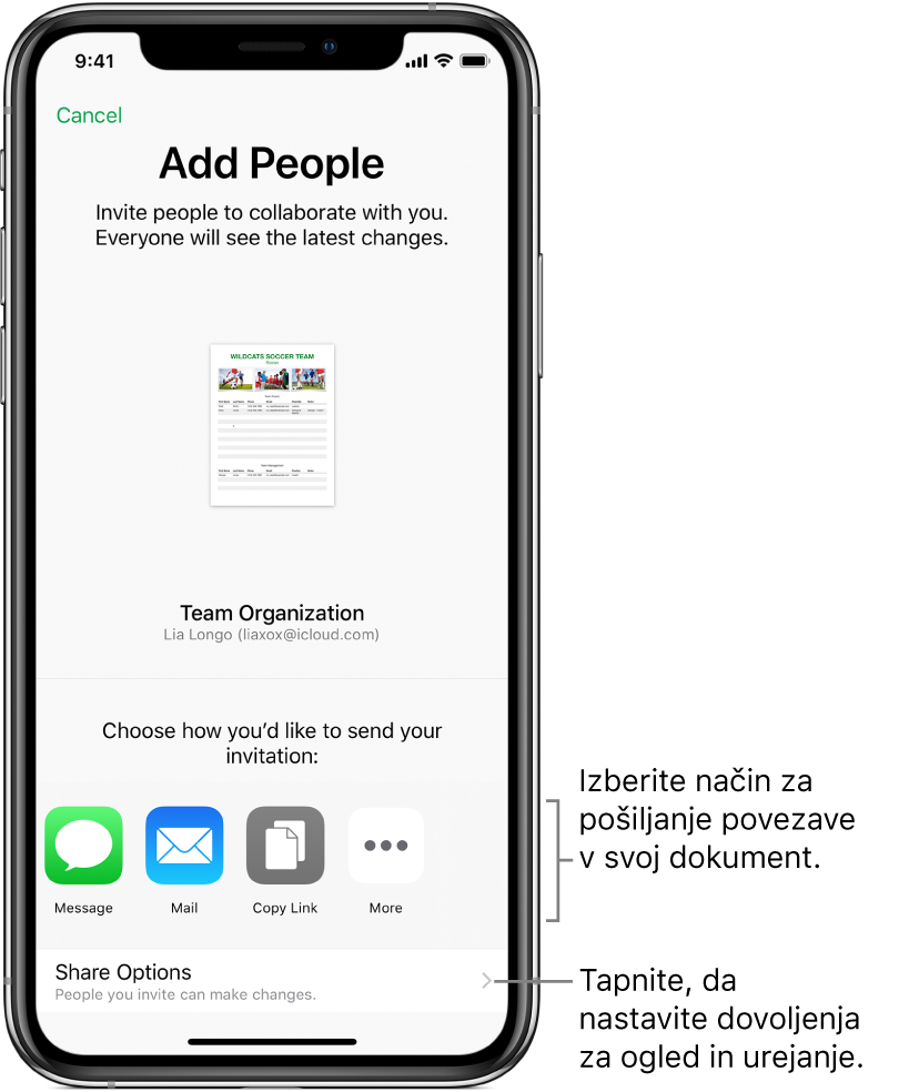 Zaslon za povabilo oseb k ogledu in urejanju vaše datoteke. Med načine pošiljanja povabila spadata aplikaciji Message in Mail. Pod njima se prikaže možnost »Share Options«.