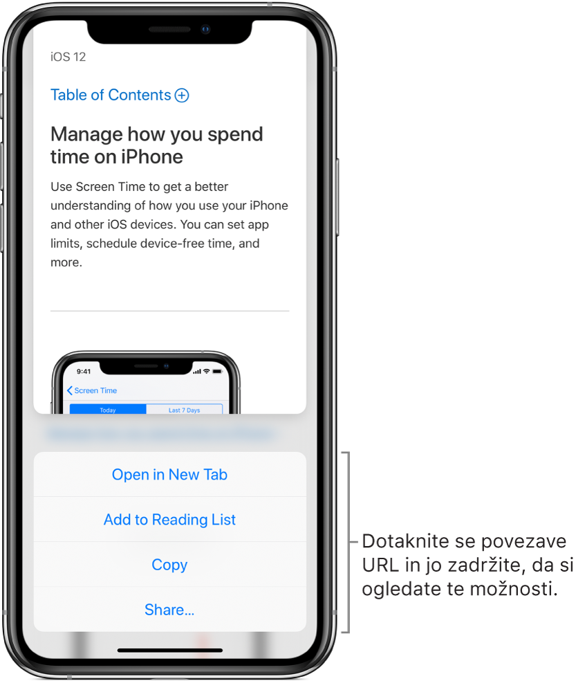 Prekrivni element, ki prikazuje predogled ciljnega URL-ja in seznam možnih dejanj: »Open in New Tab«, »Add to Reading List«, »Copy« ali »Share«.
