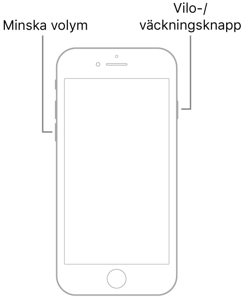 Bild på iPhone 7 med skärmen vänd uppåt. Knappen för volym ned finns på vänster sida av enheten, och på höger sida finns vilo-/väckningsknappen.