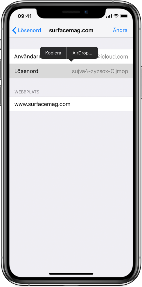 Kontoskärmen för en webbplats. Avsnittet för lösenord är markerat och en meny med objekten Kopiera och AirDrop visas ovanför.