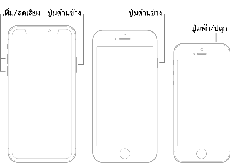 ภาพประกอบของ iPhone รุ่นต่างๆ สามประเภท ซึ่งทั้งหมดหงายหน้าจอขึ้น ภาพประกอบซ้ายสุดแสดงปุ่มเพิ่มเสียงและปุ่มลดเสียง ซึ่งอยู่ด้านซ้ายของอุปกรณ์ ปุ่มด้านข้างแสดงอยู่ทางด้านขวา ภาพประกอบตรงกลางแสดงปุ่มด้านข้าง ซึ่งอยู่ด้านขวาของอุปกรณ์ ภาพประกอบขวาสุดแสดงปุ่มพัก/ปลุก ซึ่งอยู่ด้านบนสุดของอุปกรณ์
