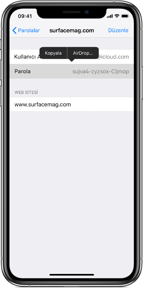 Web sitesi için hesap ekranı. Parola bölümü seçili ve üst tarafında Kopyala ve AirDrop öğelerini içeren bir menü görünüyor.