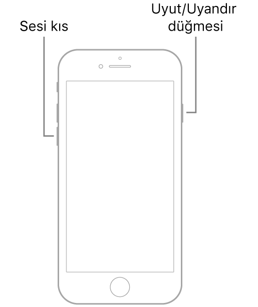 Ekranı yukarı bakan bir iPhone 7 resmi. Aygıtın sol tarafında ses yüksekliğini kapatma düğmesi gösteriliyor ve Uyut/Uyandır düğmesi sağda gösteriliyor.