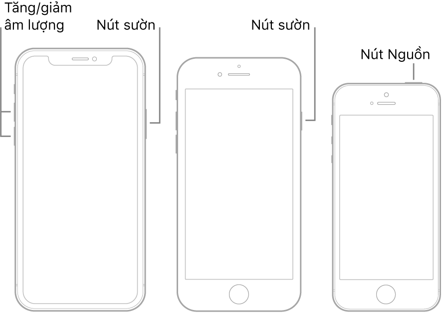 Các hình minh họa của ba loại kiểu máy iPhone, tất cả các kiểu máy đó đều có màn hình hướng lên trên. Hình minh họa ở ngoài cùng bên trái hiển thị các nút tăng và giảm âm lượng ở cạnh bên trái của thiết bị. Nút sườn được hiển thị ở bên phải. Hình minh họa ở giữa hiển thị nút sườn nằm ở bên phải của thiết bị. Hình minh họa ở ngoài cùng bên phải hiển thị nút Nguồn ở đầu thiết bị.