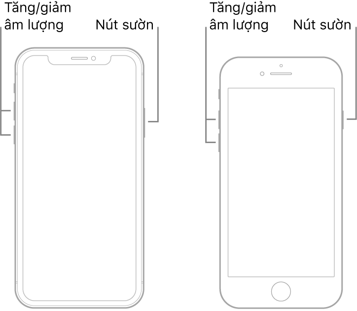Các hình minh họa của hai kiểu máy iPhone có màn hình hướng lên trên. Kiểu máy ở ngoài cùng bên trái không có nút Home, trong khi kiểu máy ở ngoài cùng bên phải có nút Home ở gần cuối thiết bị. Với cả hai kiểu máy, các nút tăng và giảm âm lượng được hiển thị ở cạnh trái của thiết bị và nút sườn được hiển thị ở cạnh bên phải.