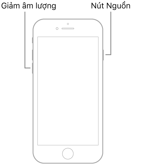 Hình minh họa của iPhone 7 có màn hình hướng lên trên. Nút giảm âm lượng được hiển thị ở cạnh trái của thiết bị và nút Nguồn được hiển thị ở bên phải.