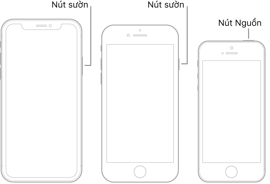 Hình minh họa đang hiển thị các vị trí của các nút Nguồn và nút sườn trên iPhone.