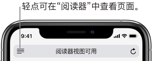 Safari 浏览器中的地址栏，左侧带有“阅读器”按钮。