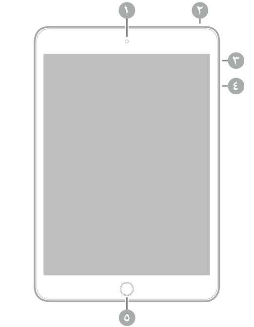 عرض للجزء الأمامي من الـ iPad mini مع وسائل شرح للكاميرا الأمامية في أعلى المنتصف، والزر العلوي في أعلى اليمين، ومفتاح صامت/قفل تدوير الشاشة، وزرا مستوى الصوت على اليمين، وزر الشاشة الرئيسية/Touch ID في أسفل المنتصف.