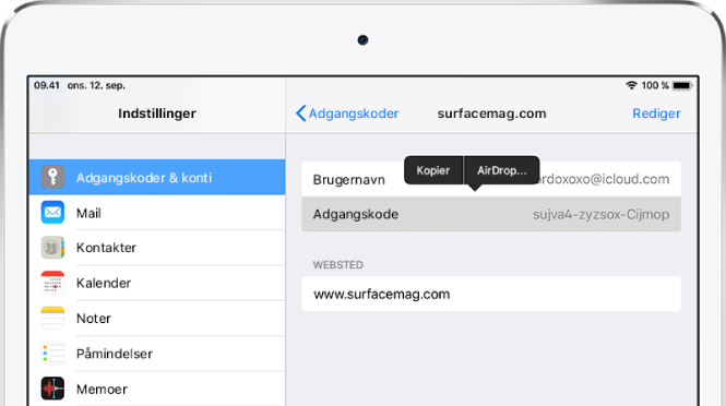 Skærmen Adgangskoder & konti for et websted. Adgangskodesektionen er valgt, og der vises en menu ovenover, som indeholder elementerne Kopier og AirDrop.