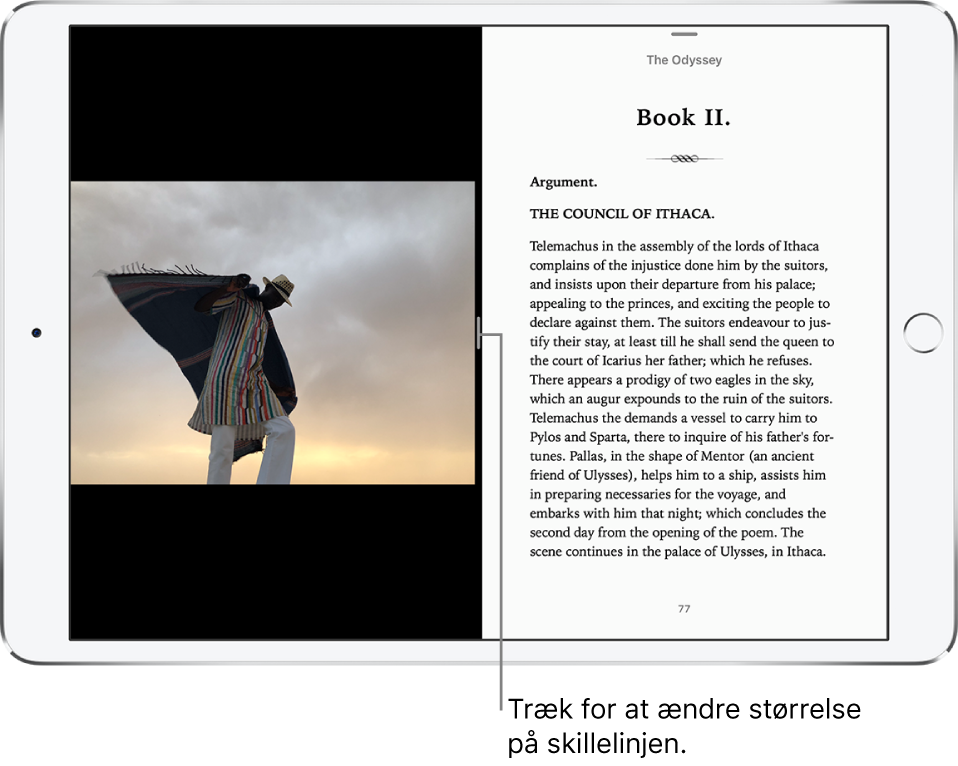Appen Fotos er åben til venstre, og appen Bøger er åben til højre. Begge apps er aktive.