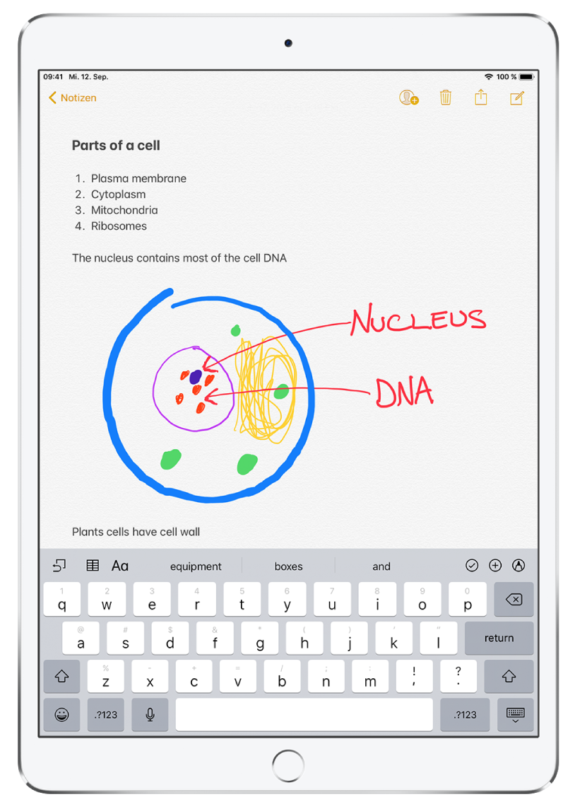 Eine Notiz ist in der App „Notizen“ geöffnet. Der Titel „Parts of a cell“ wird oben in der Notiz angezeigt. Darunter befindet sich eine nummerierte Liste von Zellbestandteilen, etwa „plasma membrane“, „cytoplasm“, „mitochondria“ und “ribosomes“. Unter der Liste ist eine Skizze eine Pflanzenzelle zu sehen, gefolgt von geschriebenen Notizen. Unten im Bildschirm wird die Tastatur angezeigt.