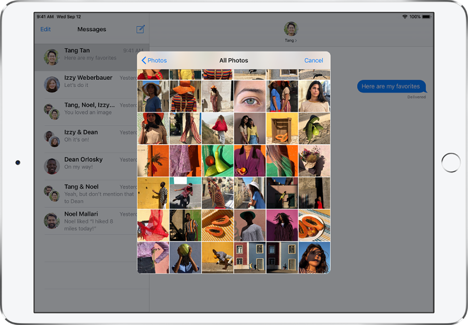 A Messages window with the Photos iMessage app overlaid on top of the message. At the top of the overlay are the buttons for browsing photos.