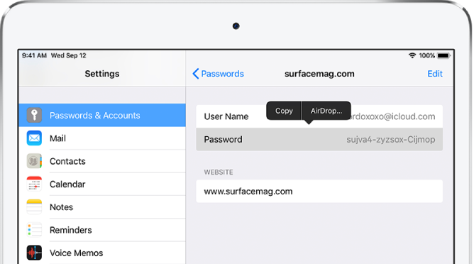 The Passwords & Accounts screen for a website. The password section is selected, and a menu containing the items Copy and AirDrop appears above it.