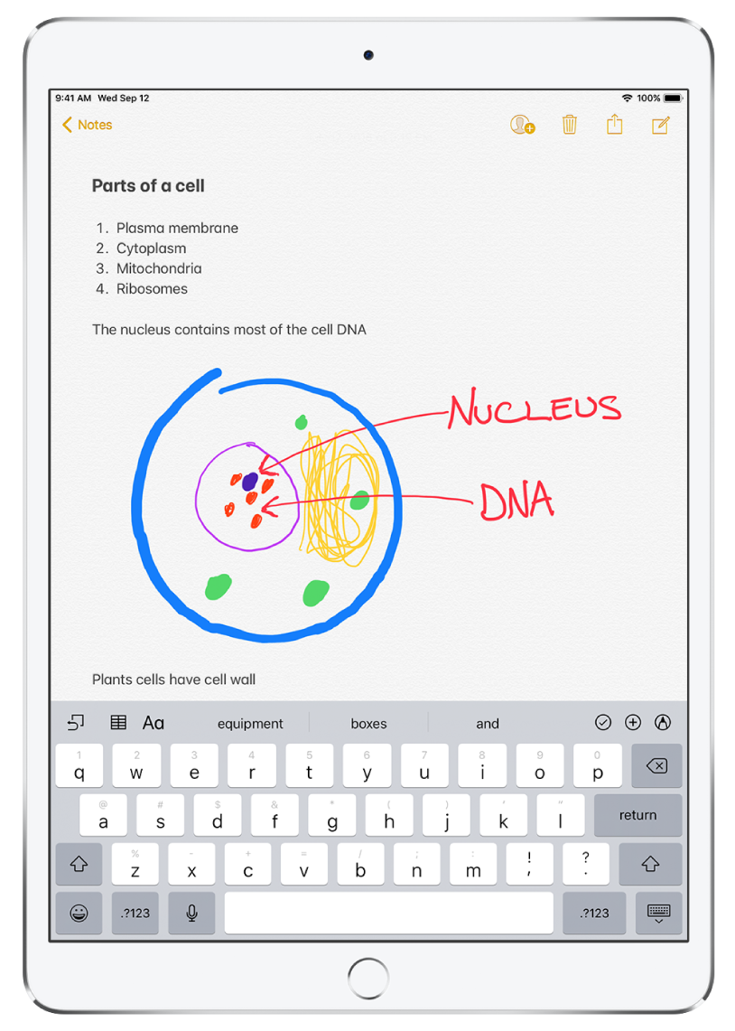A note is open in the Notes app. The title “Parts of a cell” is typed at the top of the note. Below the title is a numbered list of cell parts such as, “plasma membrane,” “cytoplasm,” “mitochondria,” and “ribosomes.” Below the numbered list is a sketch of a plant cell, followed by typed notes. At the bottom of the screen the keyboard is displayed.