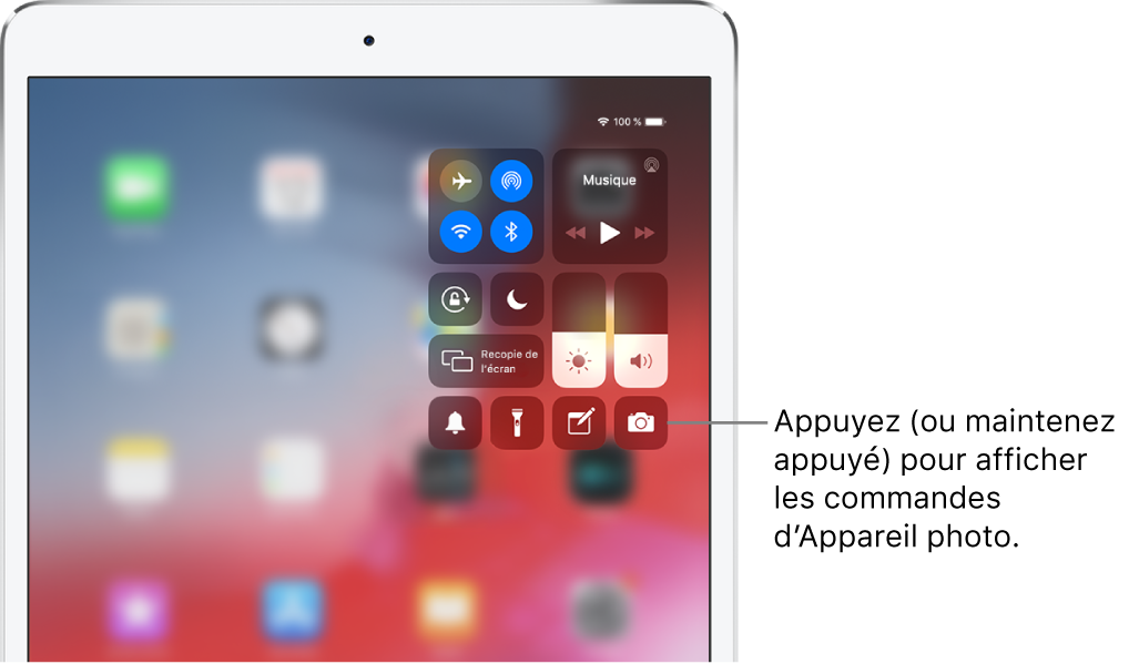 Commandes associées au mode Avion, aux données cellulaires, au Wi-Fi et au Bluetooth dans le groupe en haut à gauche du Centre de contrôle pour les modèles Wi-Fi + Cellular. Une légende relative à la commande Appareil photo indique de maintenir le doigt (ou d’appuyer) sur Appareil photo pour afficher plus d’options liées à l’appareil photo.