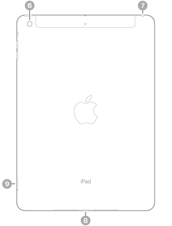 מבט אחורי של iPad Air עם הסברים (בכיוון השעון משמאל למעלה) לגבי: המצלמה האחורית, שקע האזניות, מחבר Lightning ומגש ה-SIM (בדגמי Wi-Fi + Cellular).