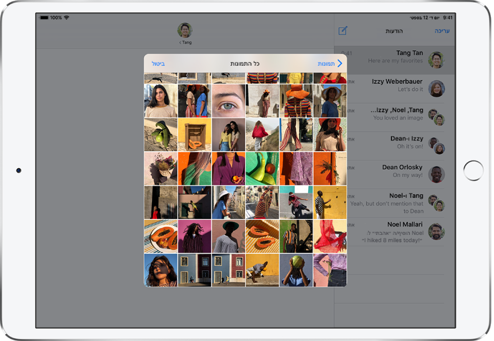 חלון של ״הודעות״ עם היישום ״תמונות״ ב-iMessage בשכבת-על מעל הודעה. בראש שכבת העל נמצאים כפתורים לעיון בתמונות.